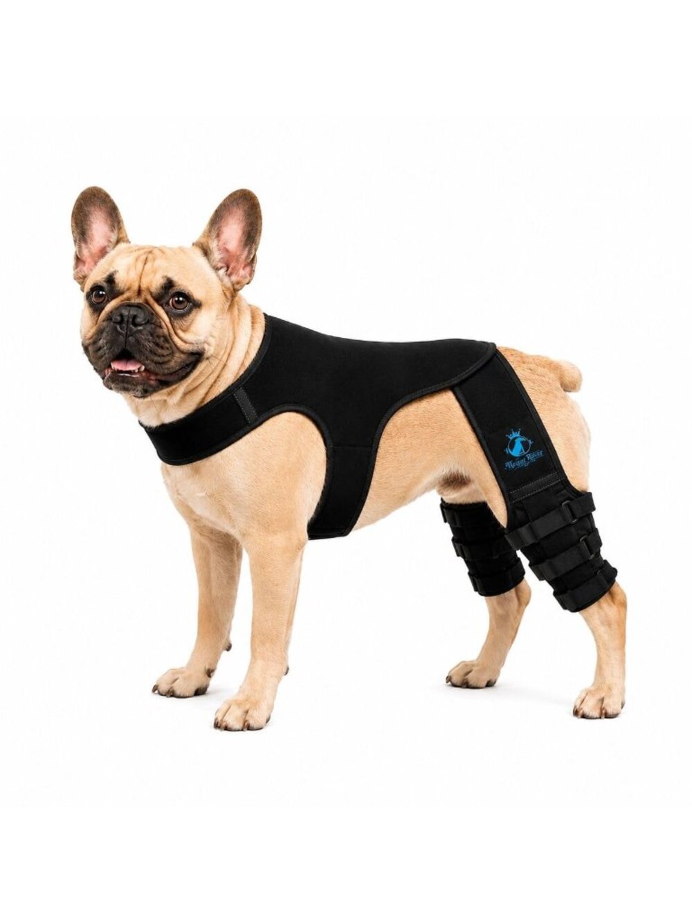 The Regal Rover Dog Rear Knee Brace – Large Adjustable ACL/CCL Hind Leg